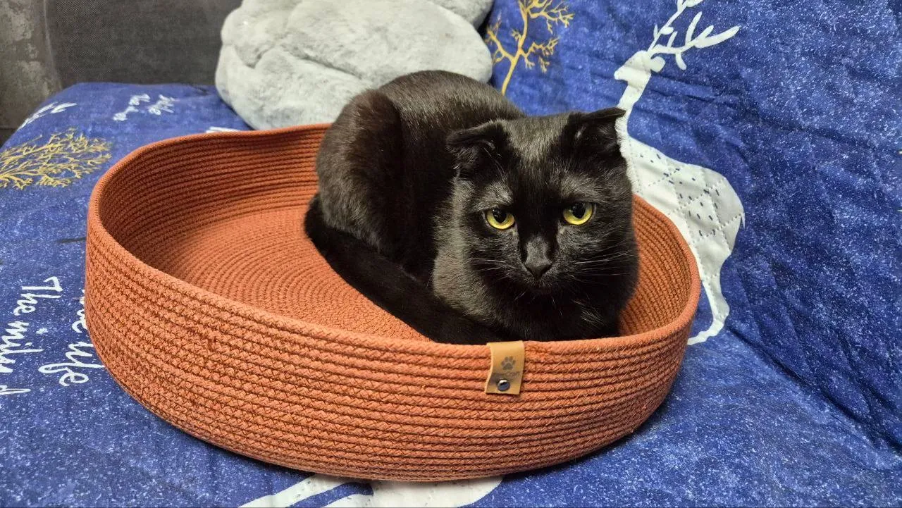 Лежанка PawCraft
