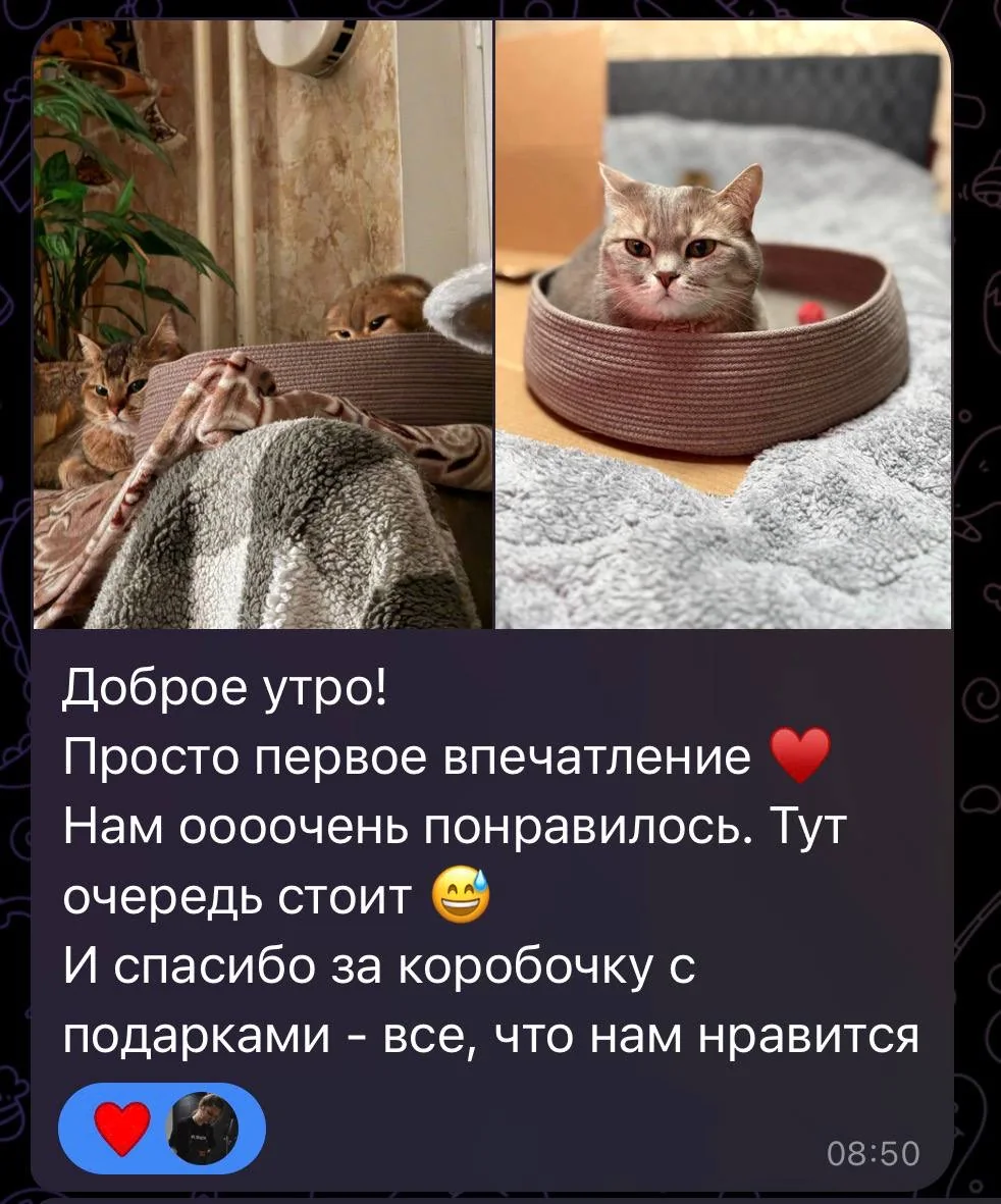 Фотоотзыв о лежанке PawCraft
