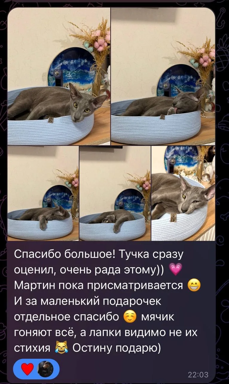 Питомец в лежанке PawCraft