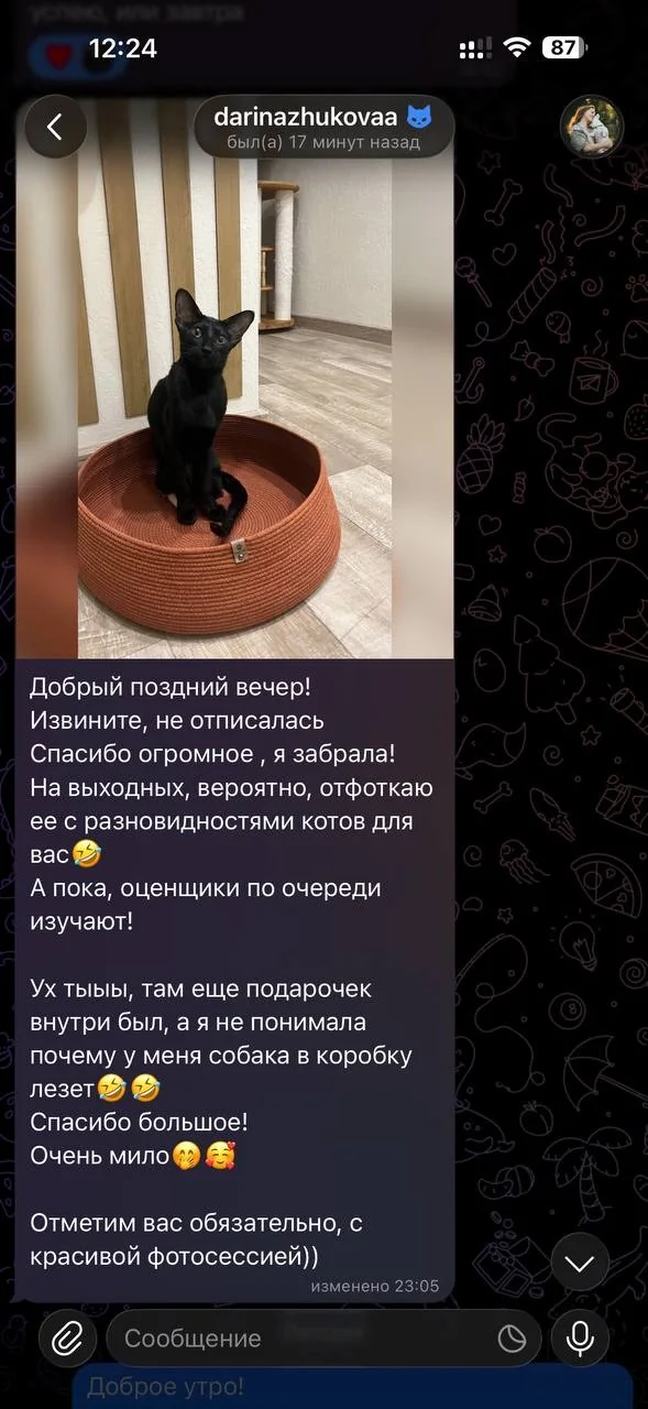 Отзыв покупателя PawCraft