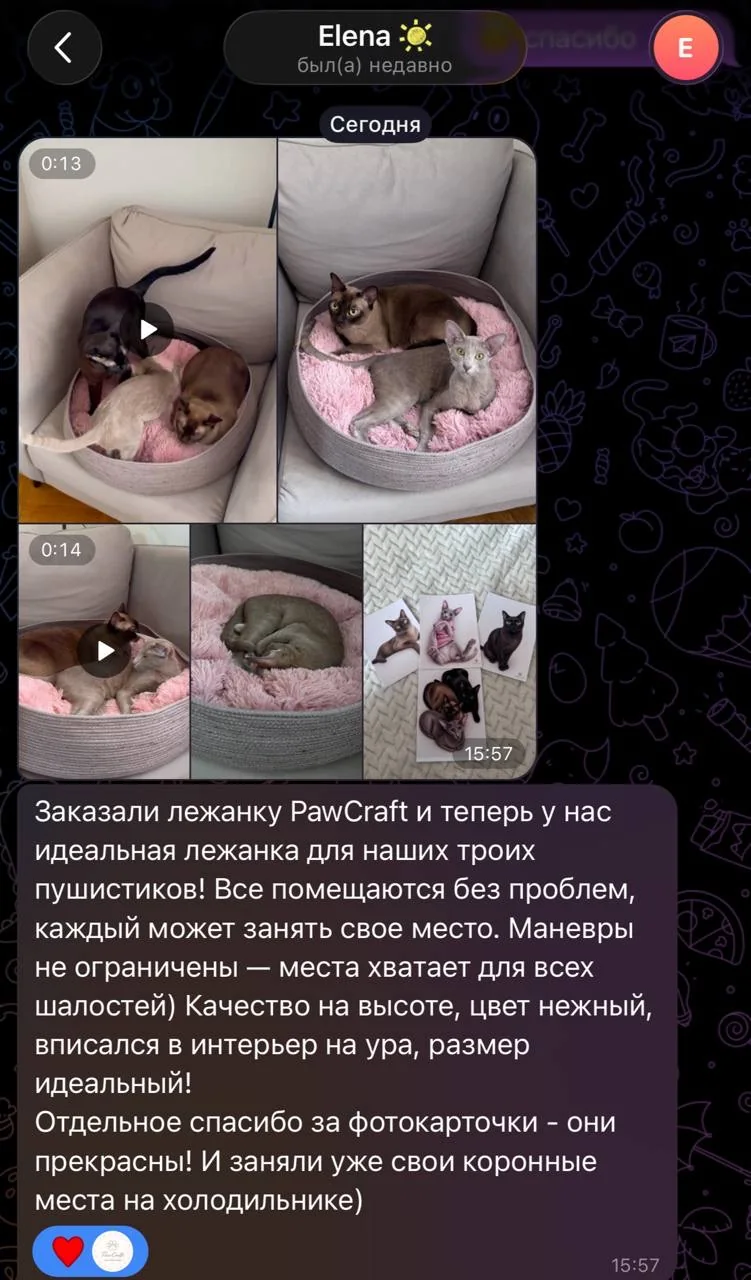 Видеоотзыв покупателя PawCraft