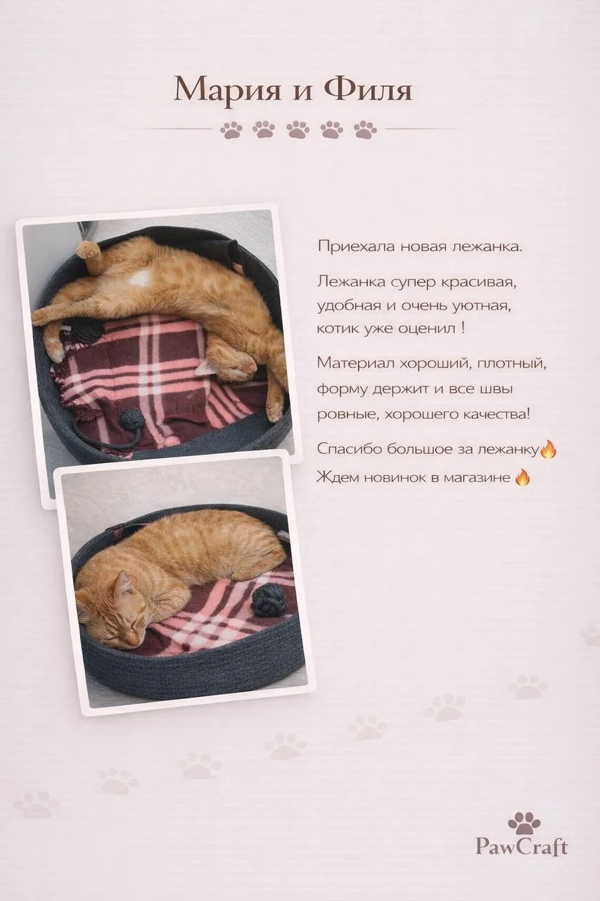 Отзыв покупателя PawCraft